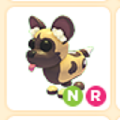 Adopt African Wild Dog