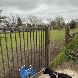 Alston Park off Leash Dog Area