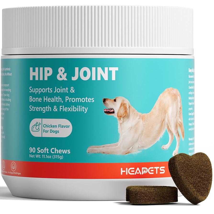 Are Joint Supplements Good for Dogs