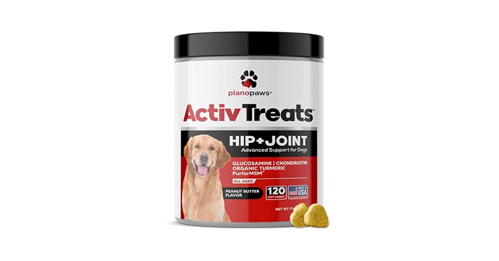 Are Joint Supplements Safe for Dogs