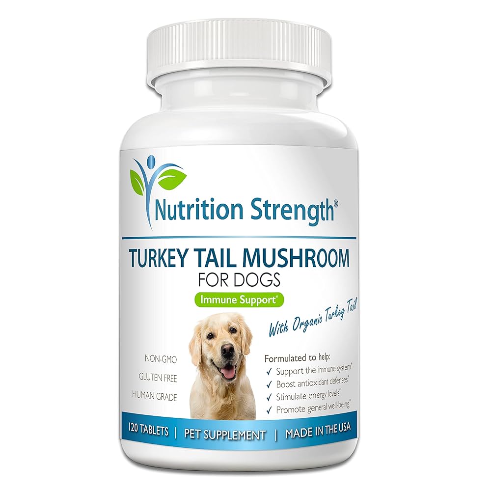 Are Mushroom Supplements Good for Dogs