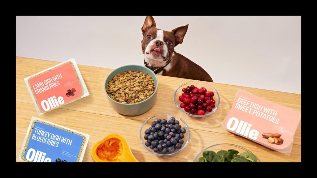 Are Potatoes in Dog Food Bad