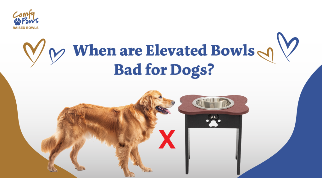 Are Raised Bowls Better for Dogs
