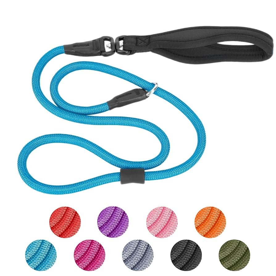 Are Slip Leashes Good for Dogs