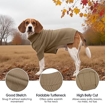 Beagle Dog Clothes