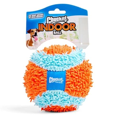 Best Big Dog Toys