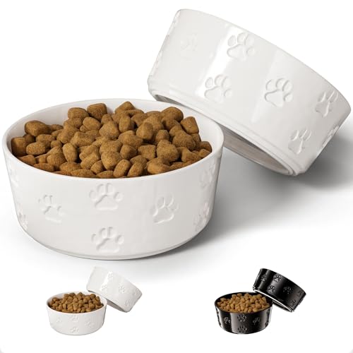 Best Ceramic Dog Bowls