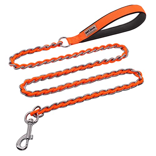 Best Chew Proof Dog Leash