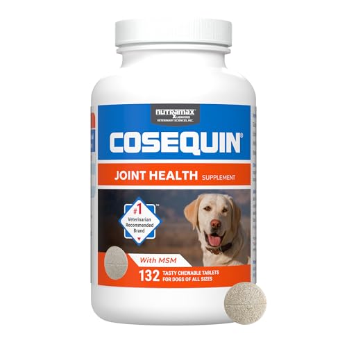 Best Cosequin Supplement for Dogs