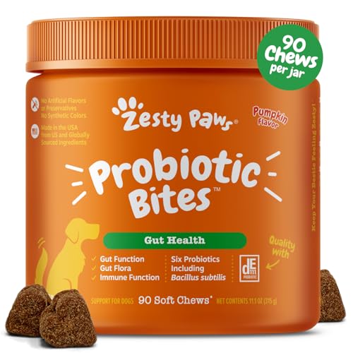 Best Digestive Supplement for Dogs