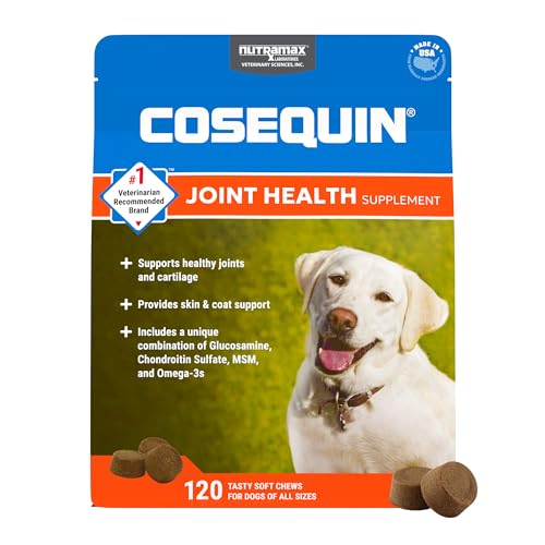 Best Dog Arthritis Supplement