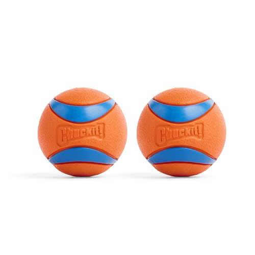 Best Dog Ball for Fetch