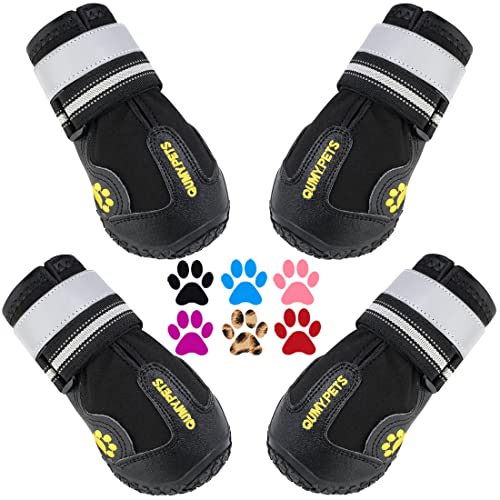 Best Dog Boots for Rain