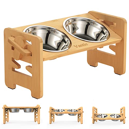 Best Dog Bowls for Small Dogs