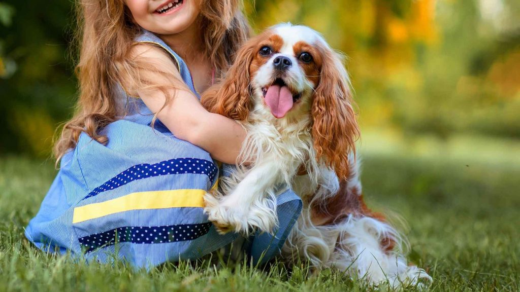 Best Dog Breeds for Toddlers