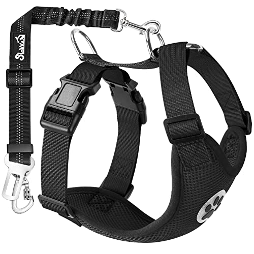 Best Dog Car Harness for Safety