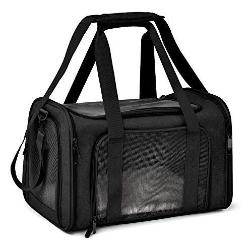 Best Dog Carrier Bag for Travel