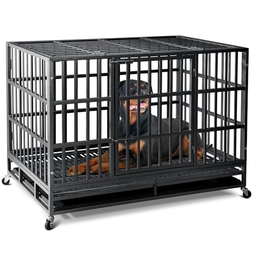 Best Dog Crate for Anxiety