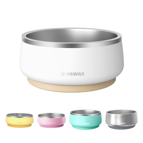 Best Dog Dog Bowls