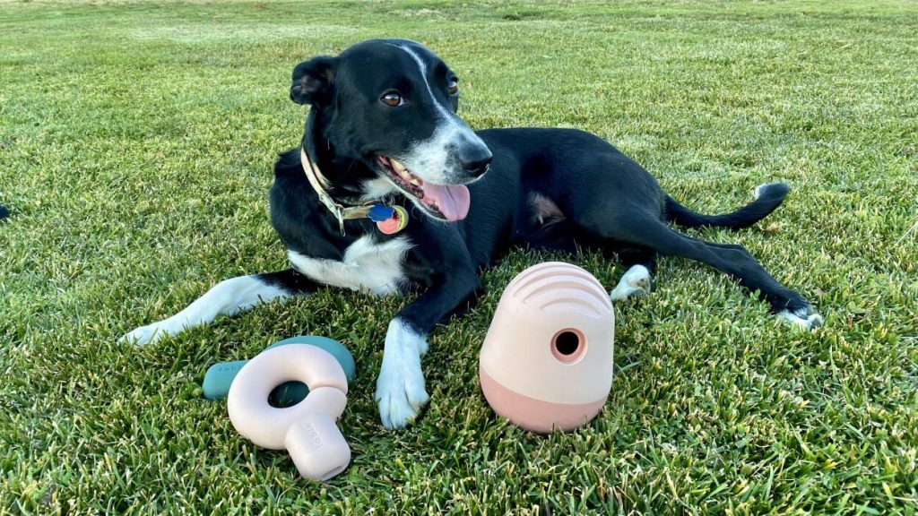 Best Dog Fitness Toys