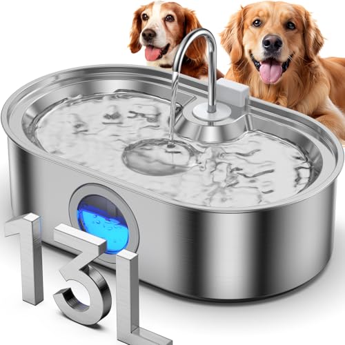Best Dog Fountain Bowl