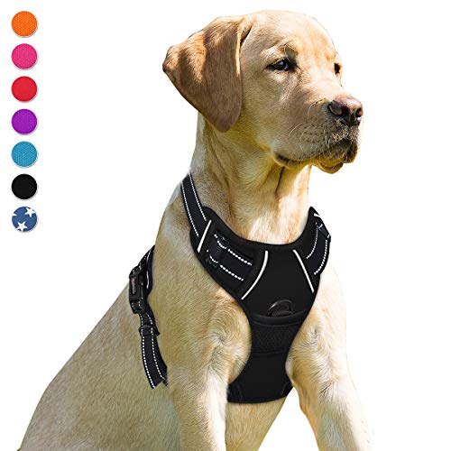 Best Dog Harness for Golden Retriever