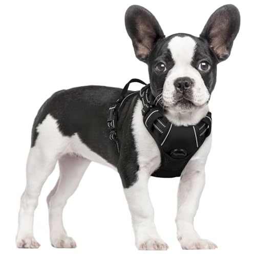 Best Dog Harness for Puppy