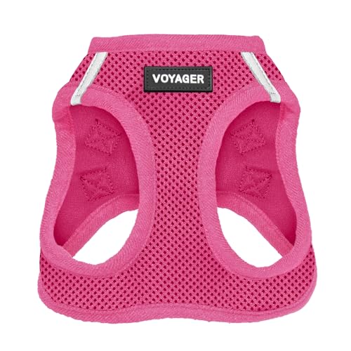 Best Dog Harness for Yorkies