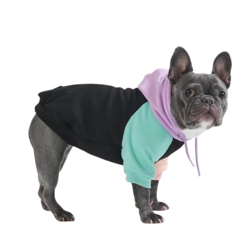 Best Dog Hoodies for Large Dogs