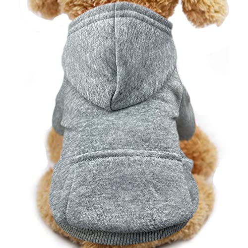 Best Dog Hoodies for Small Dogs