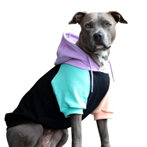 Best Dog Hoodies