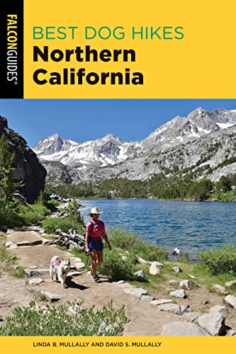Best Dog Insurance California