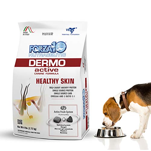 Best Dog Insurance for Dogs With Allergies And Food Sensitivities