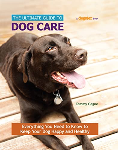 Best Dog Insurance for Long-Term Care Needs
