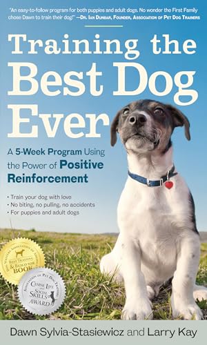 Best Dog Insurance for Older Dogs