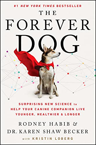Best Dog Insurance for Preventive Care
