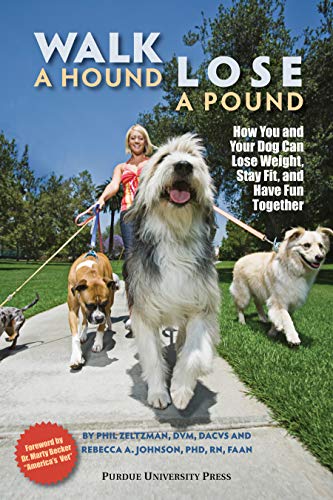 Best Dog Insurance in California