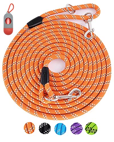 Best Dog Leash for Long Walks