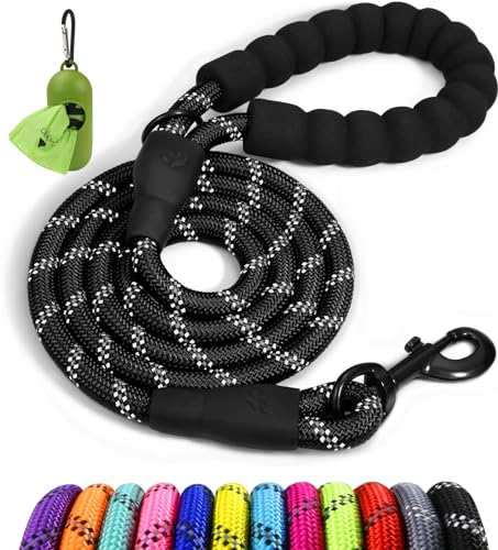 Best Dog Leash for Pullers