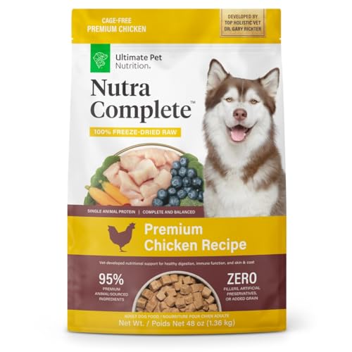 Best Dog Nutrition