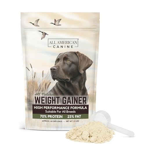 Best Dog Protein Supplement