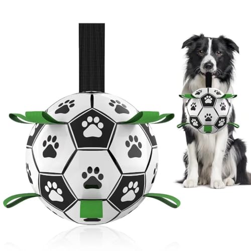 Best Dog Toys for Border Collies