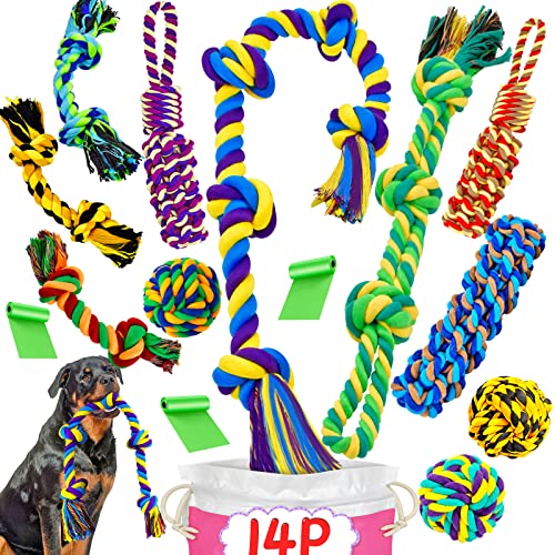 Best Dog Toys for Great Danes