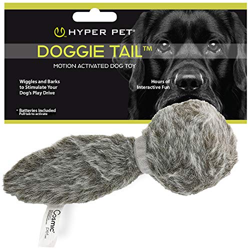 Best Dog Toys for Hyper Dogs