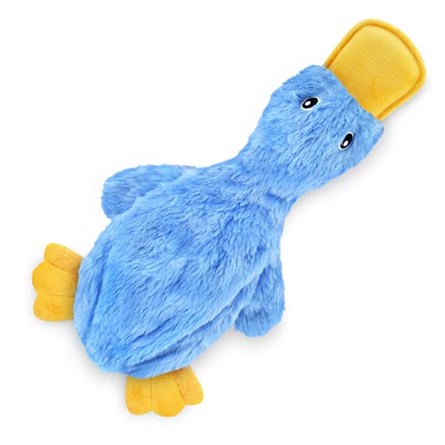 Best Dog Toys for Older Dogs