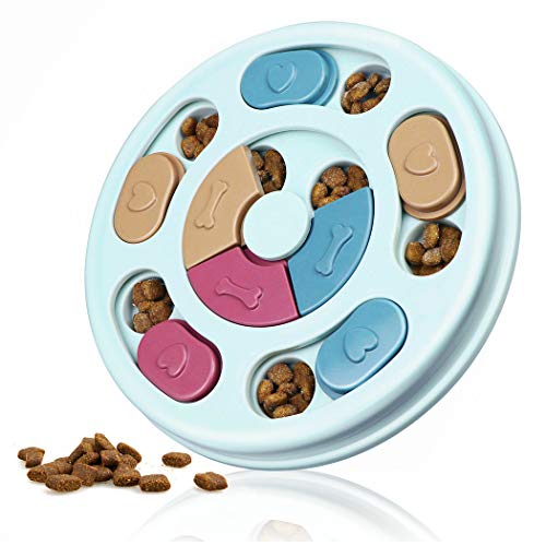 Best Dog Toys for Poodles