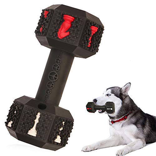Best Dog Toys for Siberian Huskies