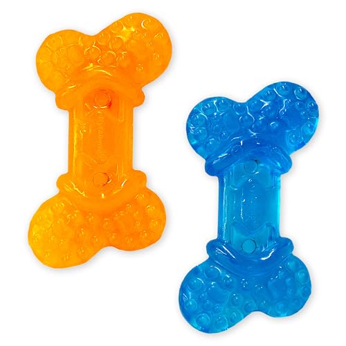 Best Dog Toys for Yorkies