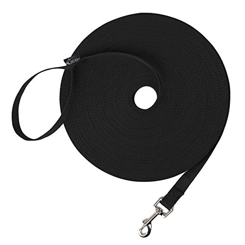 Best Dog Training Leash