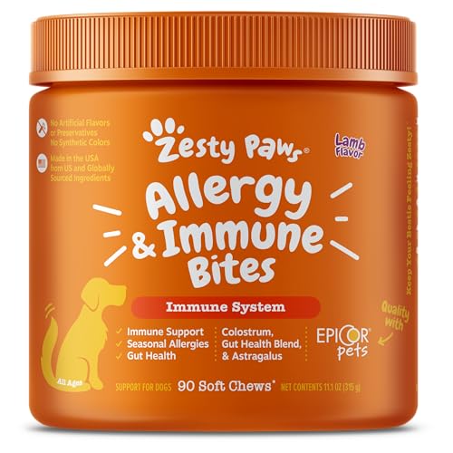 Best Dog Vitamin for Allergies